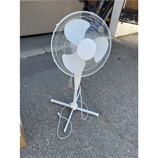 Fan