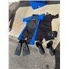Image 1 : Wet suits, flippers, and other