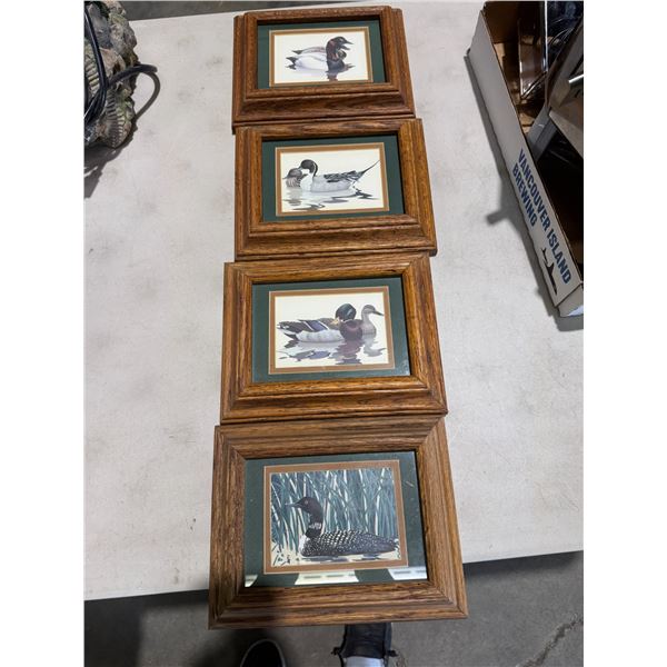 Duck wall hangings