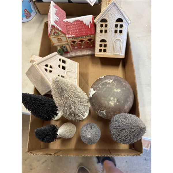 Christmas trees and Christmas decor