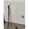 Image 1 : Walking sticks