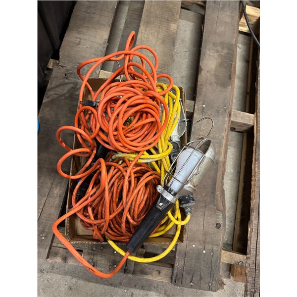 Extension cords and work light