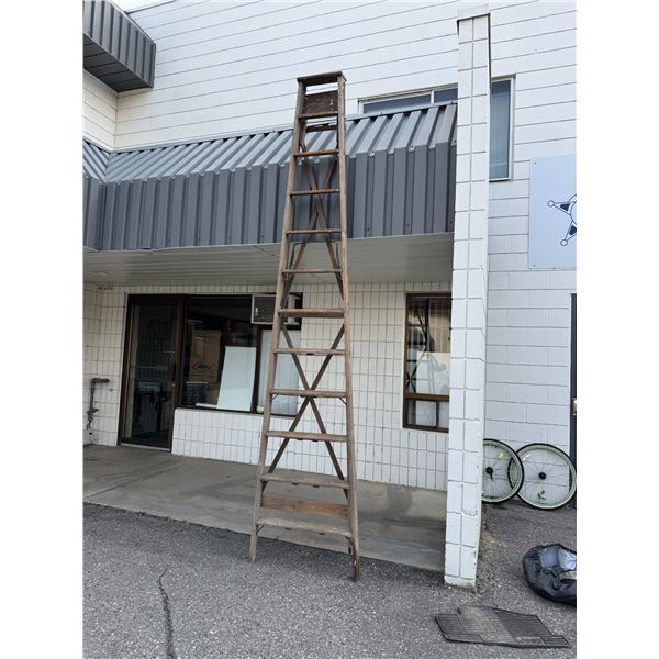 12 foot ladder