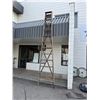 Image 1 : 12 foot ladder