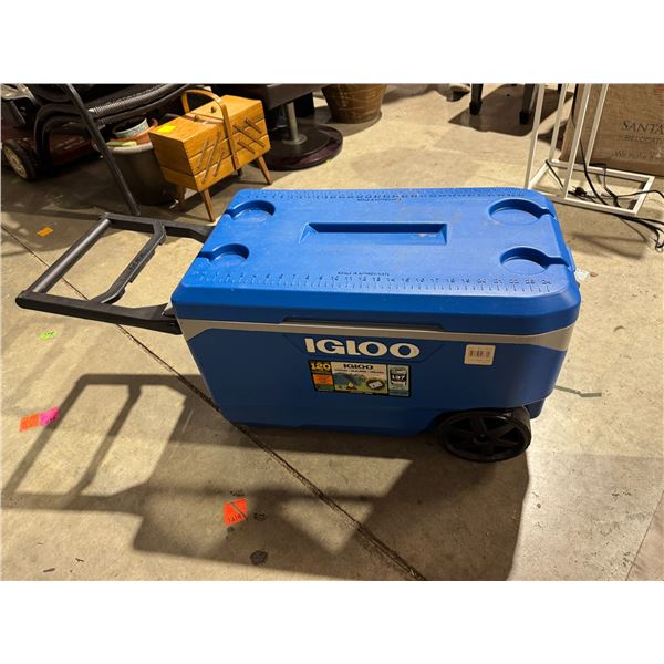 Igloo cooler