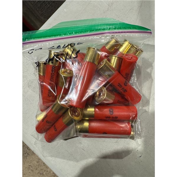 20 gauge 30 shells must have valid pal