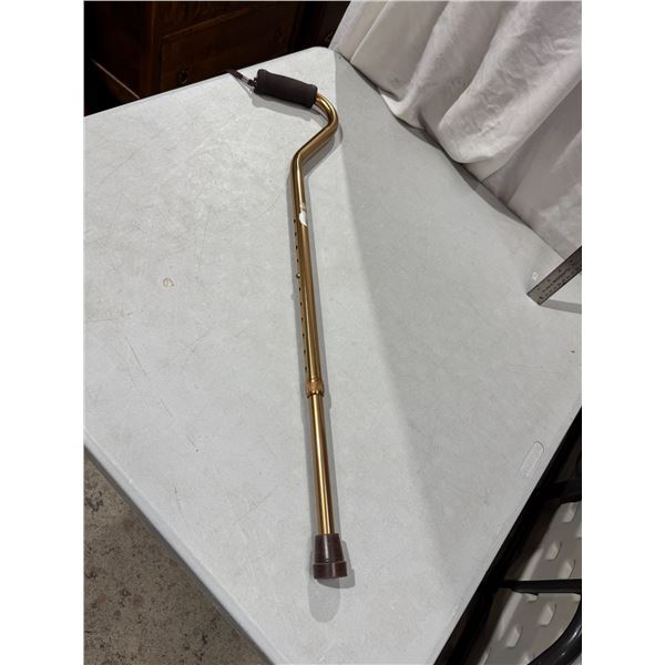 Adjustable Cane