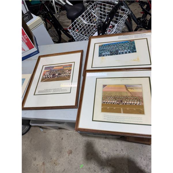 Saskatchewan Roughriders football club 1980, 1981, 1982