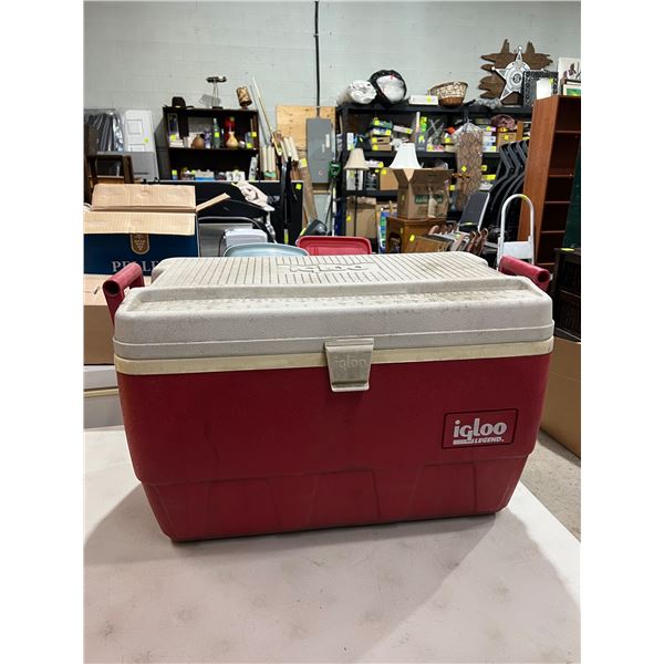 igloo cooler
