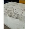 2 glass jugs