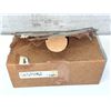Image 1 : Allen-Bradley #1492-IFM40F-F24-2 Fusible Interface Module