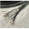 Image 3 : Allen Bradley #1326-CCUT-L-015 Encoder Cable