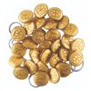Image 1 : A Collection of Disneyland Railroad Costume Buttons.