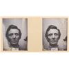 Image 3 : Great Moments with Mr. Lincoln Reference Photos.