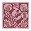 Image 1 : A Souvenir Disneyland Lands Scarf.