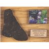 Image 1 : A Disneyland Jungle Cruise Rhinoceros Skin Prop.