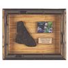 Image 2 : A Disneyland Jungle Cruise Rhinoceros Skin Prop.