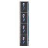 Image 2 : A Pair of Master Gracey Portrait Film Strips.