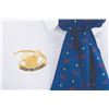 Image 6 : A Walt Disney World Guest Relations Costume.