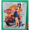 Image 1 : Metal Embossed Harley Davidson Sign