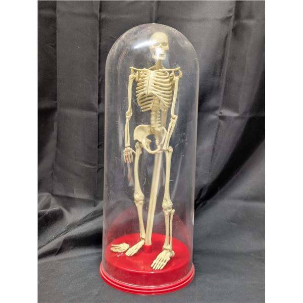 Old Mini Skeleton (Arm is lose, and hand needs to be attached again)