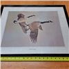 Image 2 : canadian geese picture- 24" by 19"