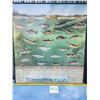 Image 1 : Mancave poster! Framed "Fish Species of Saskatchewan." Measeures 36 inches by 40 inches