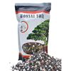 Image 1 : Bonsai Soil All Purpose Mix | Fast Draining Pre Blend Plant | Pumice, Lava, Calcined Clay and Pine B