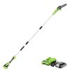 Image 1 : Greenworks 24V 8″ Pole Saw, 2Ah Battery and Charger Included PS24B210