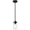 Image 1 : EAPUDUN #PDA1353-A-MBK Matte Black Light Fixture with Clear Glass