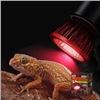 Image 1 : Model ND-32 Heating LED Infrared Lamp for Reptiles, 2W