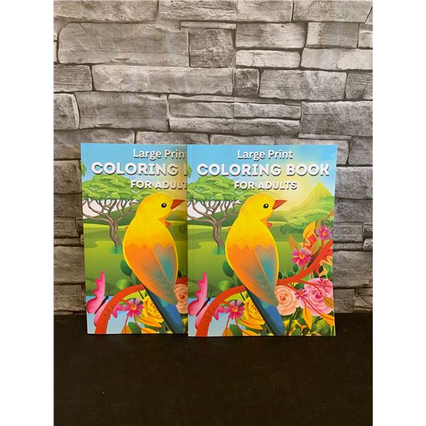 Lot of 2 Coloring Book for Adults