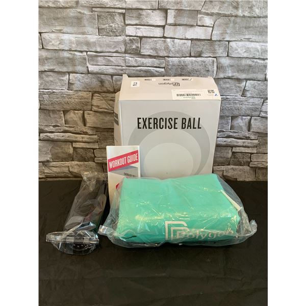 Excercise Ball - 55cm - Mint Green