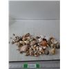 Image 1 : Seashells