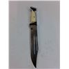 Image 2 : Plastic/Metal Handled Hunting Knife - 13" Length