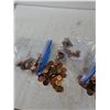 Image 3 : Bags of Canadian Pennies
