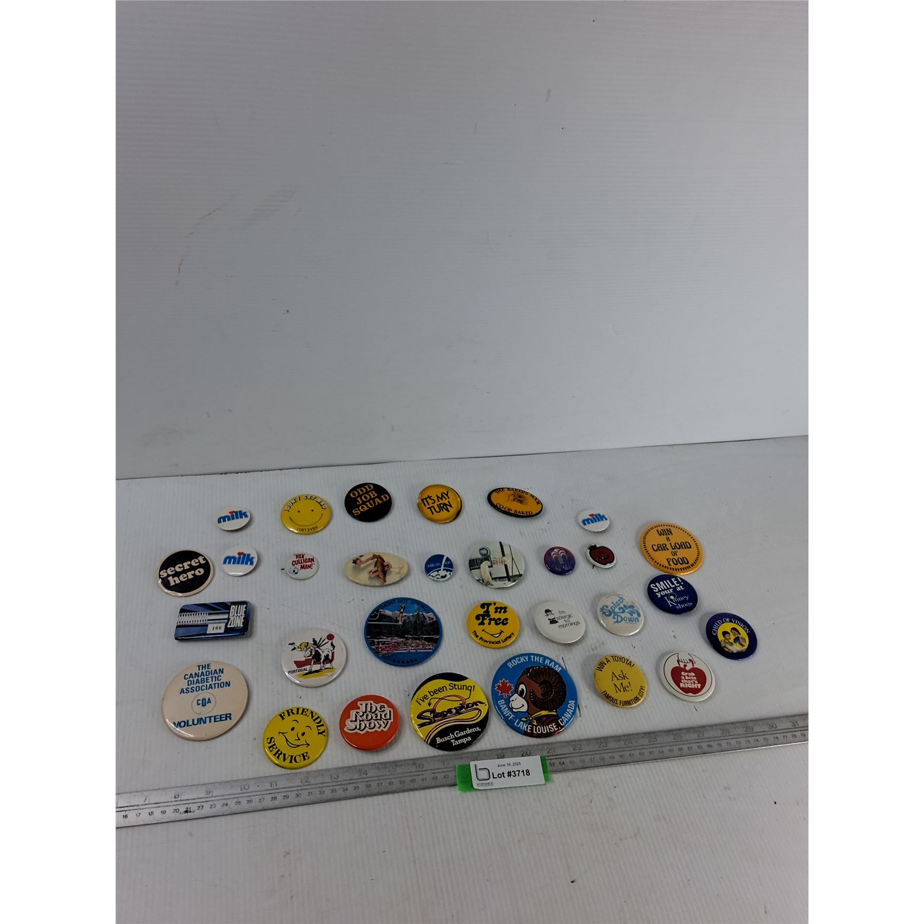 Assorted Pins - Bodnarus Auctioneering