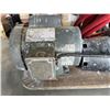 Image 3 : COMPRESSOR FOR TEXTURE MACHINE COMES WITH HOSE