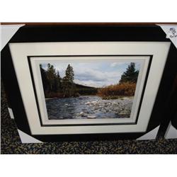 Limited Edition Print 15/950 "mosquito Creek"