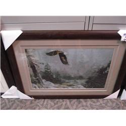 Framed Print "screech"