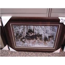 Framed Print "wolves"