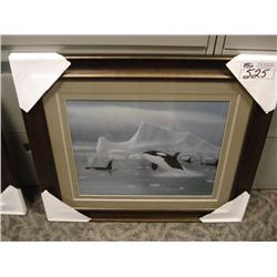 Framed Print "orcas"