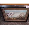 Image 1 : Framed Print "white Swan"
