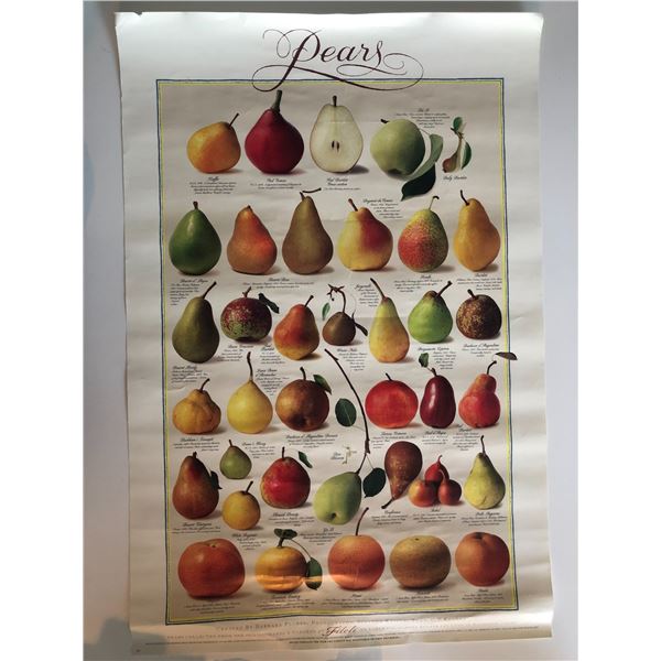 Lithographic Pear Poster