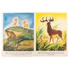 Image 4 : A Walt Disney's "Bambi" Picture Book.