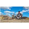Image 2 : Mexican Coues Deer Hunt for 1 Hunter
