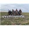 Image 10 : Texas Sandhill Crane Hunt for 1 Hunter
