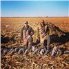 Image 1 : Texas Sandhill Crane Hunt for 1 Hunter