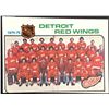 Image 1 : 1975-76 TOPPS DETROIT RED WINGS