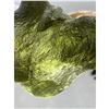 Image 5 : 10.1 GRAM Certified NATURAL GENUINE MOLDAVITE